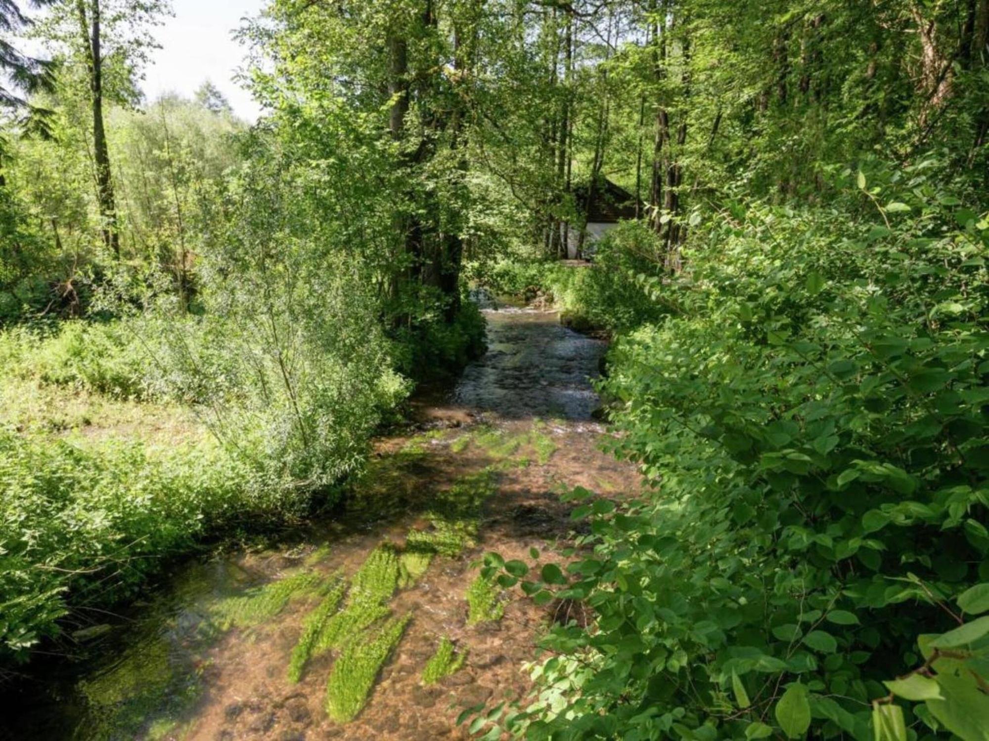 Luxury Gite With Sauna In Baugnez Malmedy Arimont Extérieur photo